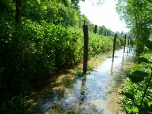 Le canton de Cormeilles arrosé par les nombreux affluents de la Calonne 