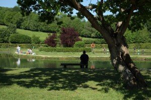 Pêche à la pisciculture de la Calonne - Canton de Cormeilles en Pays d'Auge