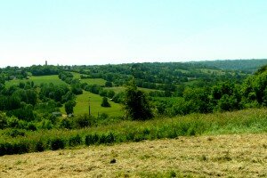 Le bocage normand près de Cormeilles en Pays d'Auge