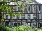 a-travers-les-branches-du-cerisier.jpg