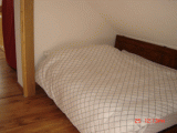 dsc05138.gif