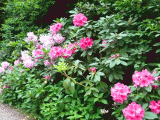 galerie2.3.gif