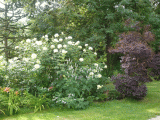 p1090657.gif