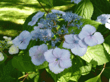 p1090791.gif