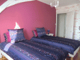 chateau-maillot-tulipe.gif